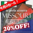 画像1: 【セール】定尺裁ち革 MISSOURI(ミズーリ) (1)